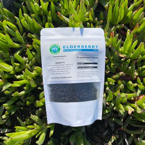 Elderberry (Sambucus Nigra) 4 oz | Everything Alkaline